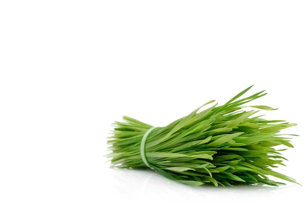 Αιθέρια Έλαια