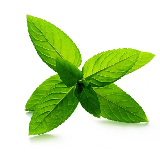 Μέντα Αιθέριο Έλαιο