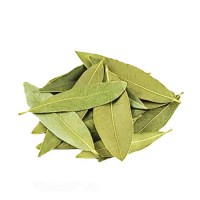 Δάφνη Αιθέριο Έλαιο 