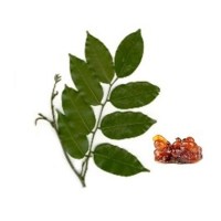 Βάλσαμο Περού Αιθέριο Έλαιο