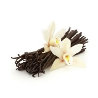 Αιθέριο Έλαιο Βανίλια